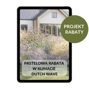 PROJEKT RABATY: Pastelowa rabata w klimacie dutch wave.