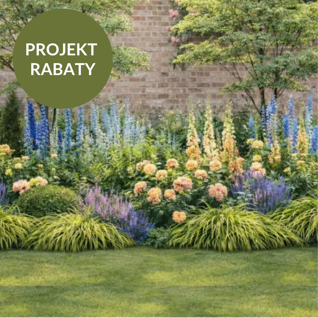 PROJEKT RABATY: Angielska rabata w stylu chelsea look.