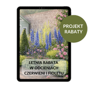 PROJEKT RABATY: Klasyczna angielska rabata.