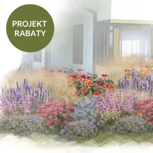 PROJEKT RABATY: Letnia rabata w odcieniach czerwieni i fioletu.