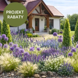 PROJEKT RABATY: Rabata łąkowa z czosnkami i ostnicą