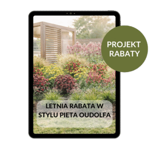 PROJEKT RABATY: Letnia rabata w stylu Pieta Oudolfa.