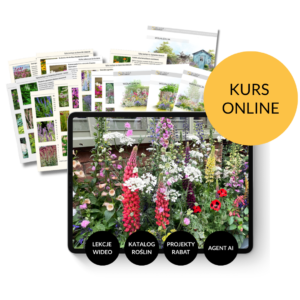 Kurs online: Projekt angielskiej rabaty w stylu cottage.