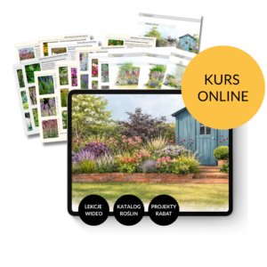 Kurs online: Projekt angielskiej rabaty w stylu cottage.