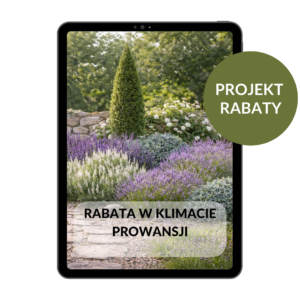 PROJEKT RABATY: Rabata w klimacie Prowansji