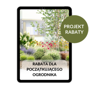 PROJEKT RABATY: Rabata dla początkującego ogrodnika.