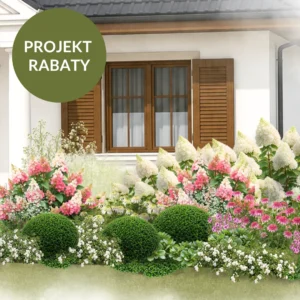 PROJEKT RABATY: Poziomki ze śmietaną – z hortensjami w odcieniach kremowej bieli i różu